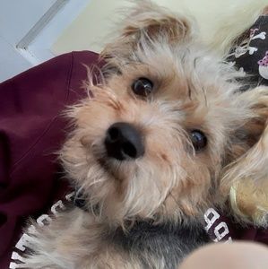 Meet your Posher, Chloe